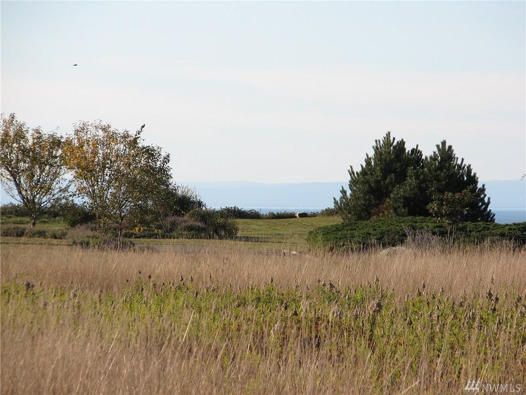0 Seacliff Lane - Photo 1