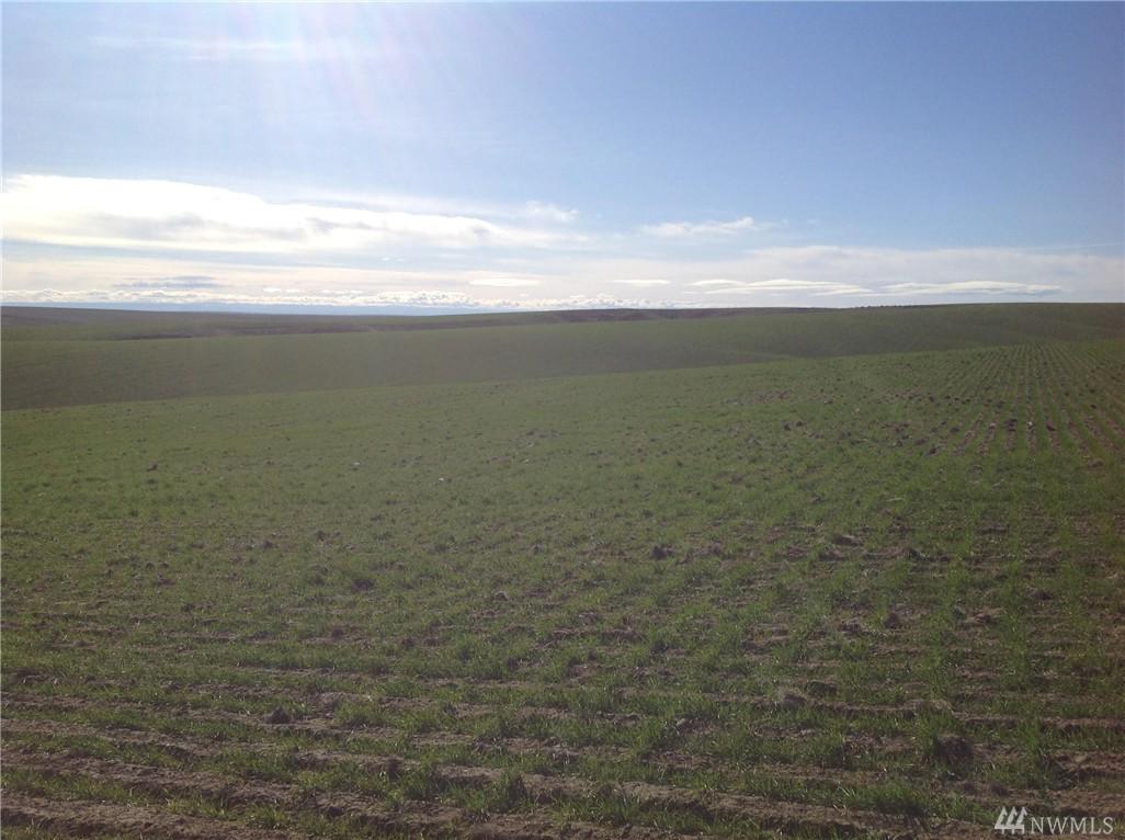 0-NSA Herman Rd - Photo 1