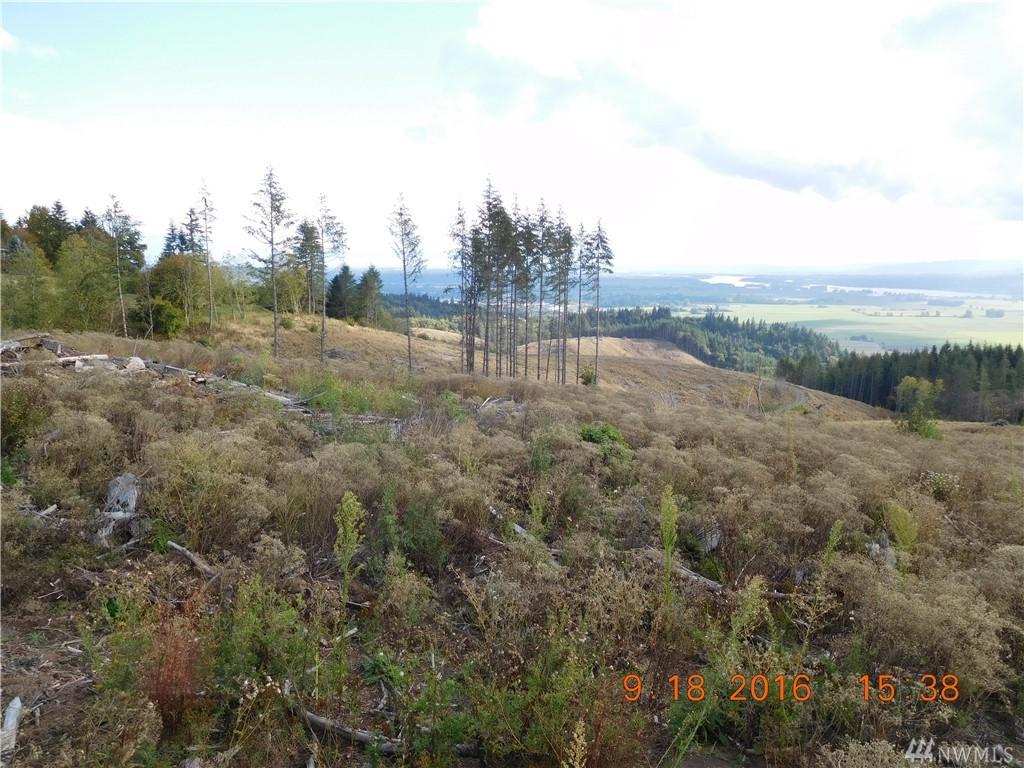 0 Green Mt Rd - Photo 1