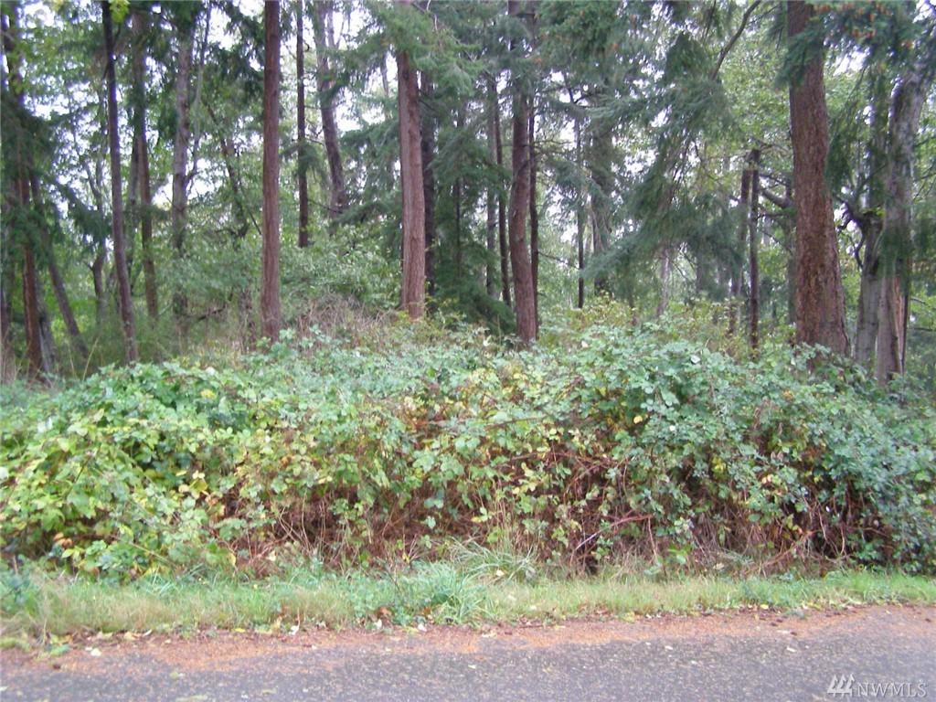 9 Lot 9 Mitford - Photo 1
