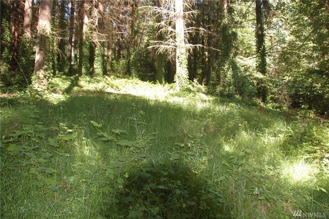 9783 Bucsit Lane - Photo 1