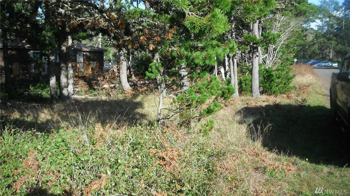 0-Lot 9&10 166th Place - Photo 1