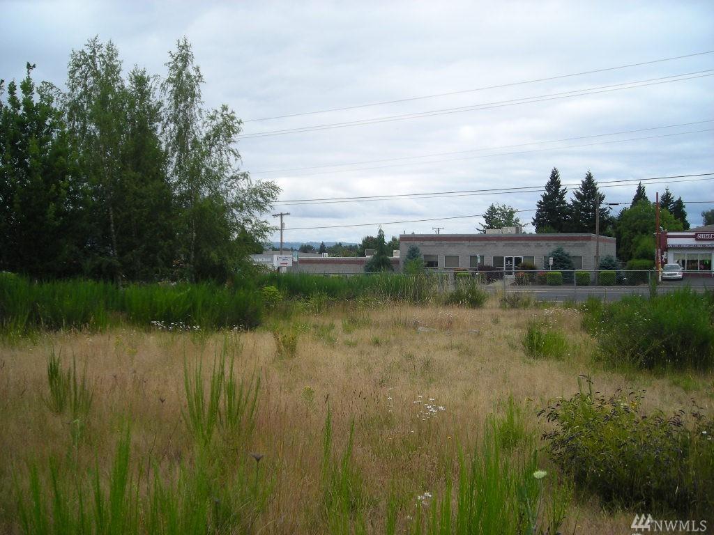 8303 Highway 99 - Photo 1