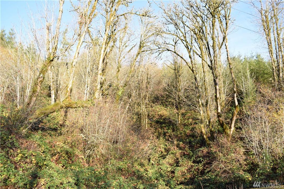 0 Kalama River Rd - Photo 1