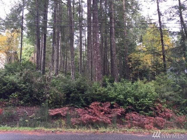 2311 St. Andrews Drive Dr - Photo 1