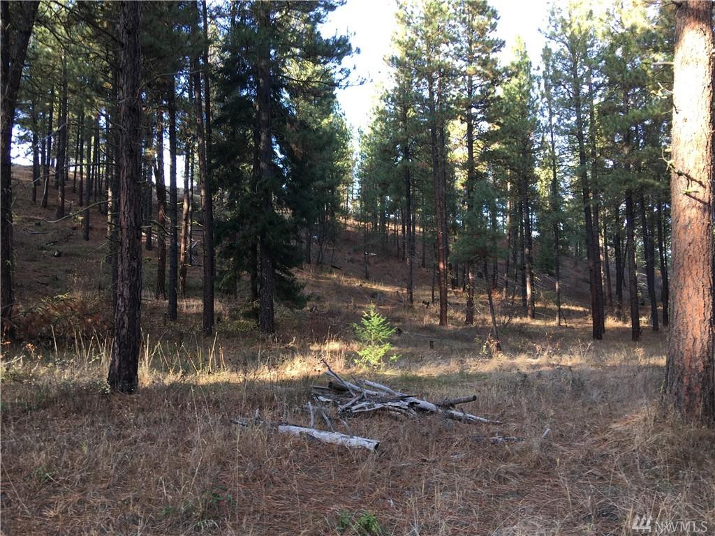 0-XXX Fir Tree Dr - Photo 1
