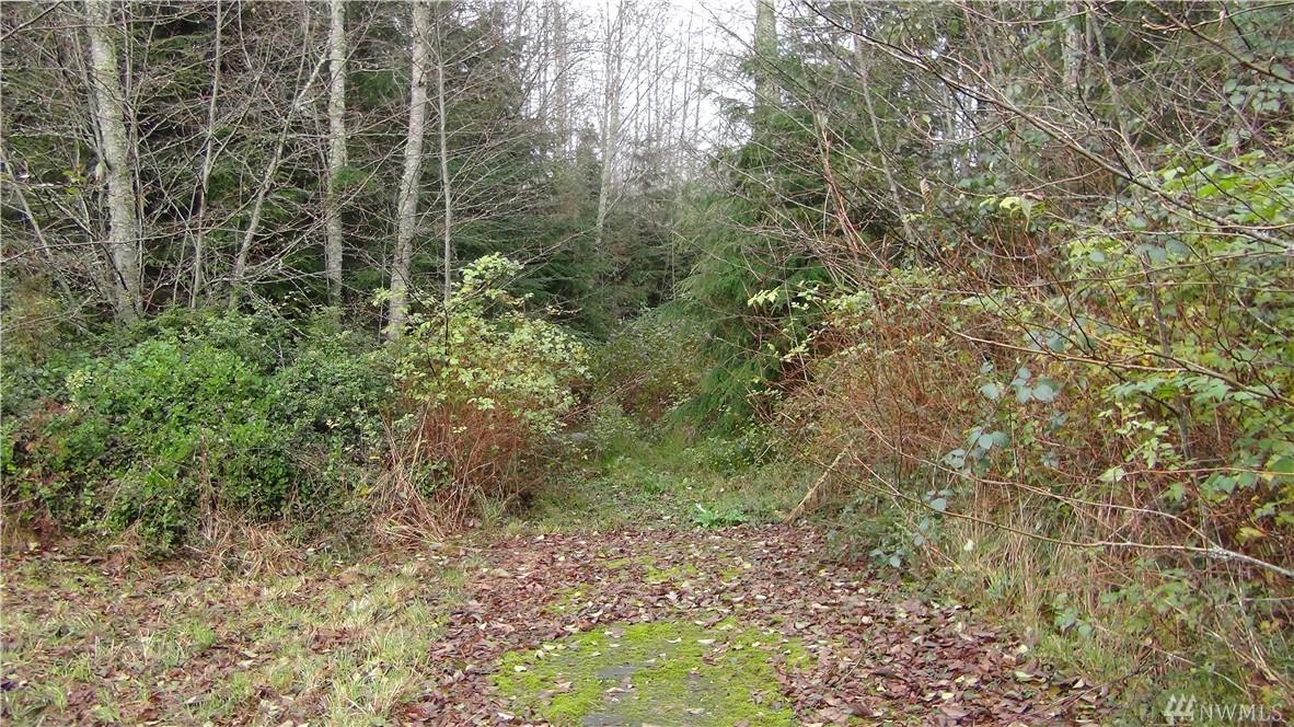 0 Pacific Dogwood Place - Photo 1
