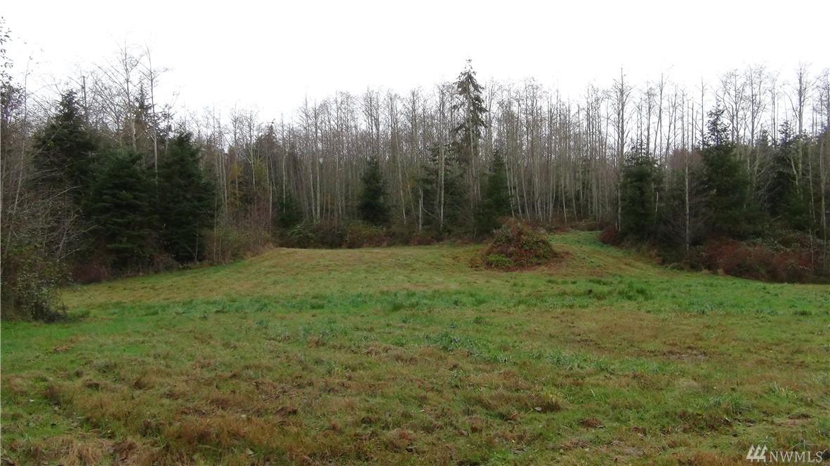 0 Pacific Dogwood Place - Photo 1