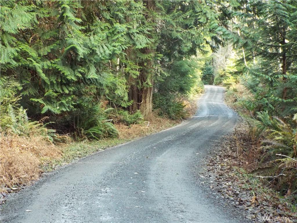 1-XX Salmonberry - Photo 1