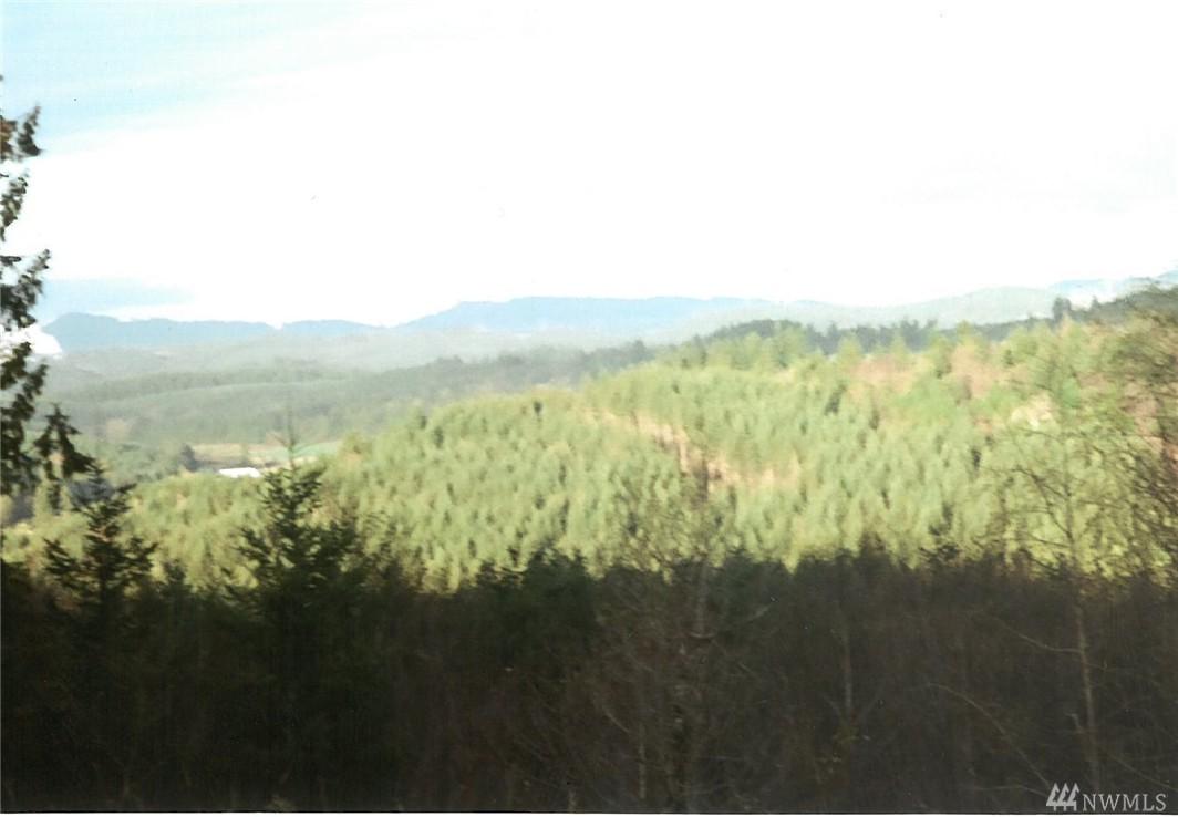 5-XXX Centralia-Alpha Road - Photo 1