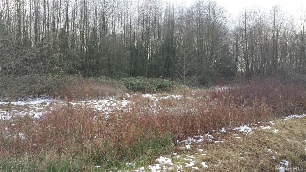 45-XX Alderson Rd - Photo 1