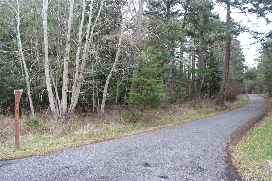 47 Cape - Photo 1