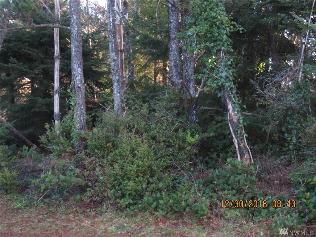 30906 J Place - Photo 1