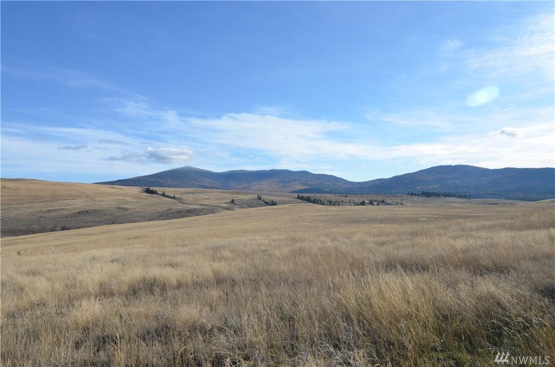 0-Lot 29 Dry Gulch Rd - Photo 1