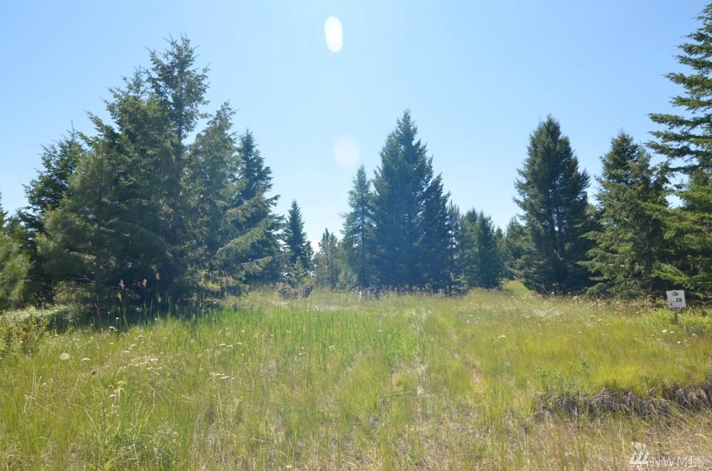 0-Lot 28 Dry Gulch Rd - Photo 1