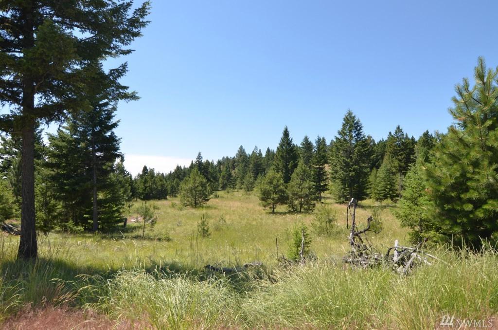 0-Lot 26 Dry Gulch Rd - Photo 1