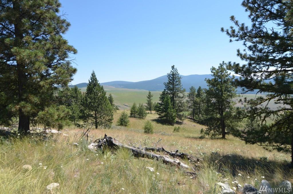 0-Lot 25 Dry Gulch Rd - Photo 1