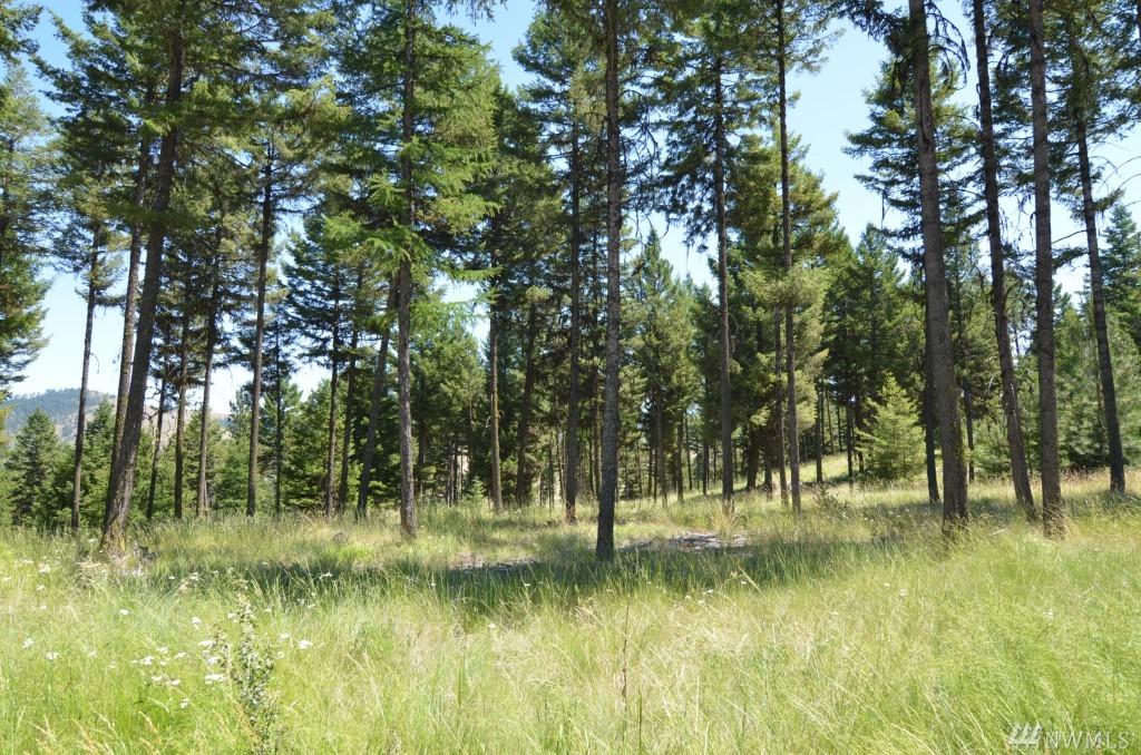 0-Lot 21 Dry Gulch Rd - Photo 1