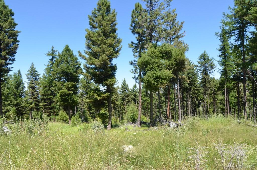 0-Lot 20 Dry Gulch Rd - Photo 1