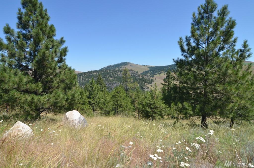 0-Lot 14 Dry Gulch Rd - Photo 1