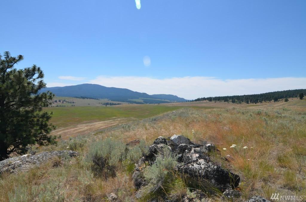 0-Lot 9 Dry Gulch Rd - Photo 1