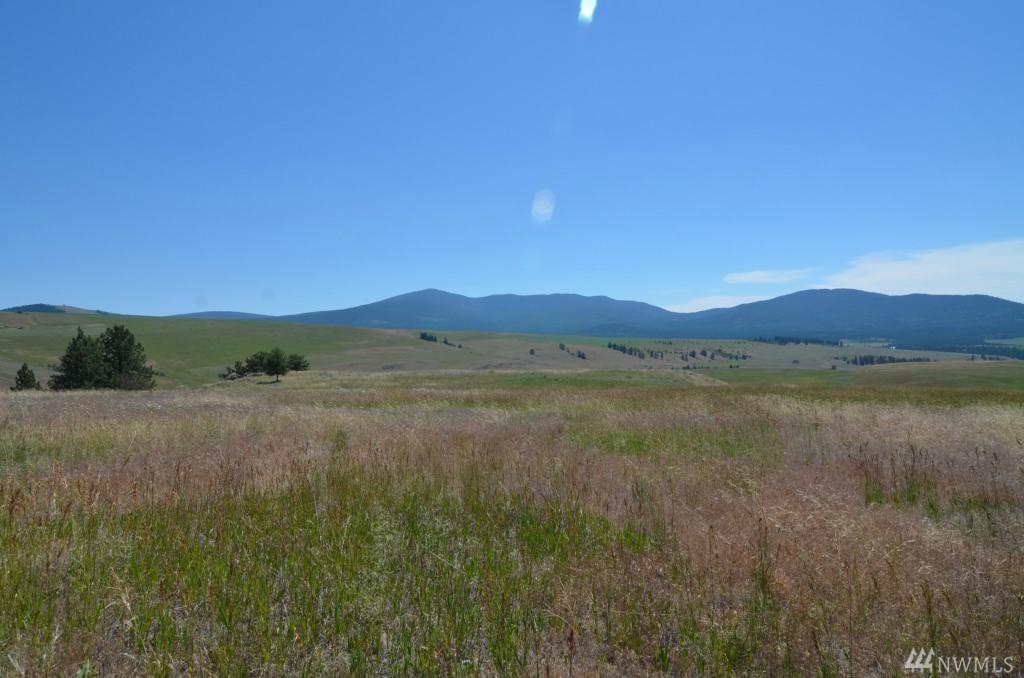 0-Lot 8 Dry Gulch Rd - Photo 1