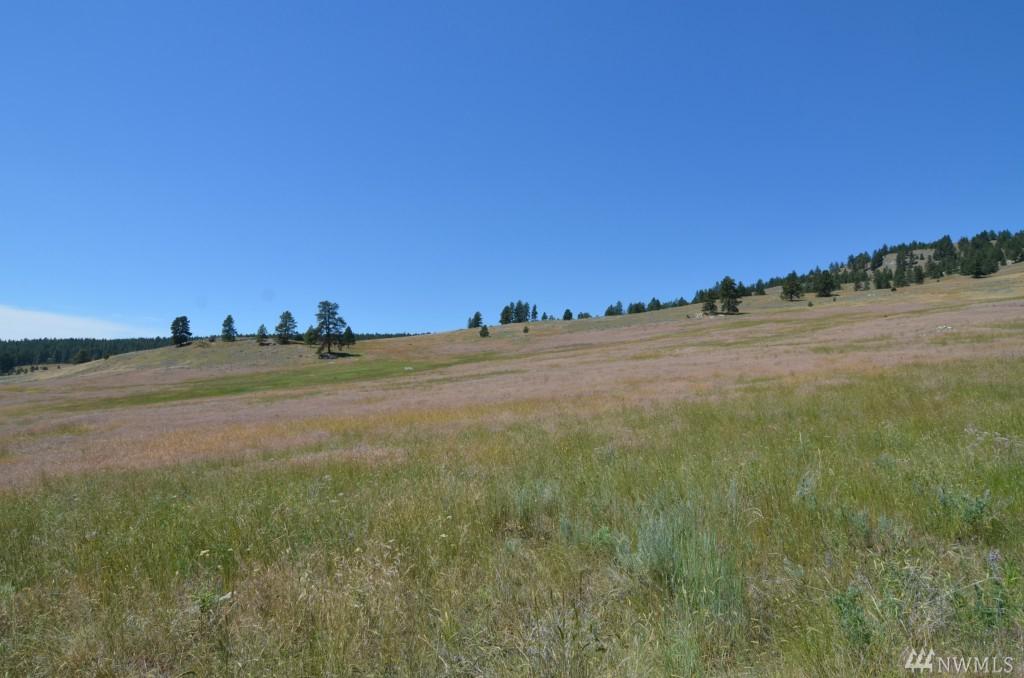 0-Lot 5 Dry Gulch Rd - Photo 1
