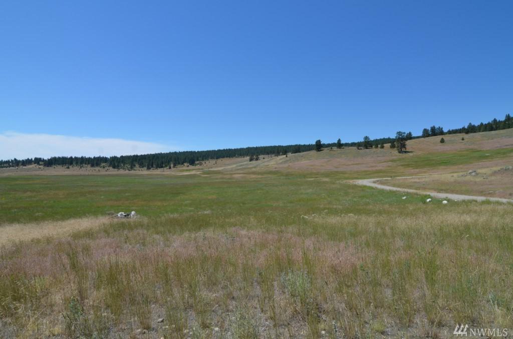 0-Lot 4 Dry Gulch Rd - Photo 1