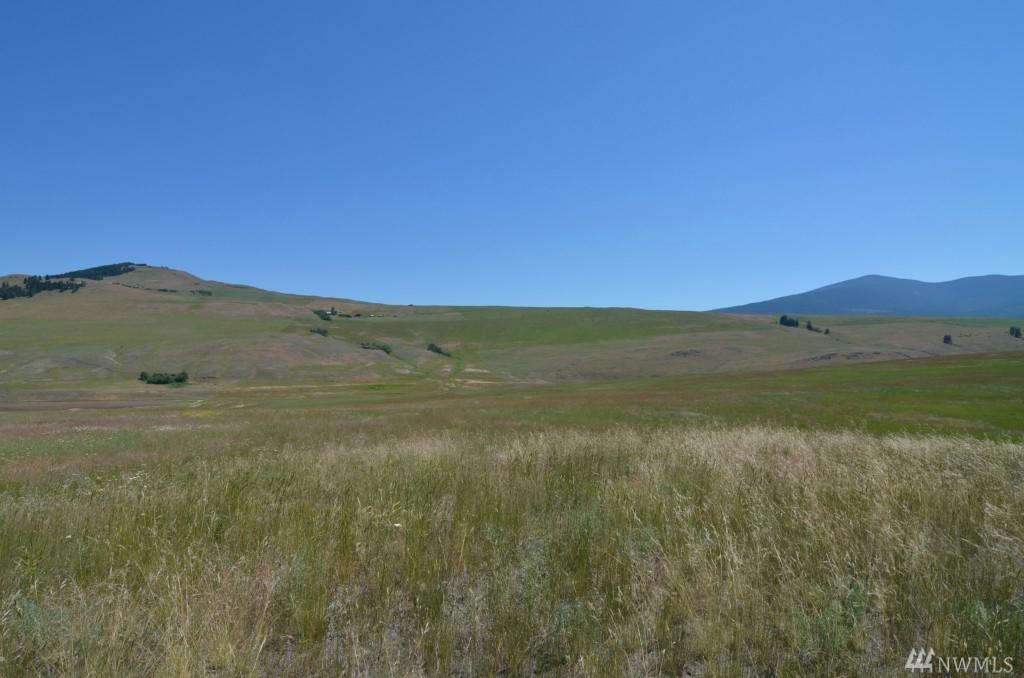 0-Lot 2 Dry Gulch Rd - Photo 1