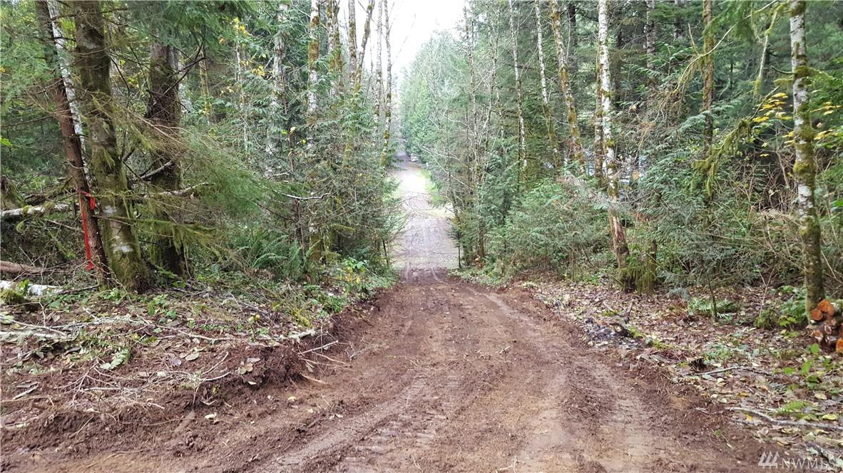 0-40XX Scofield Rd - Photo 1