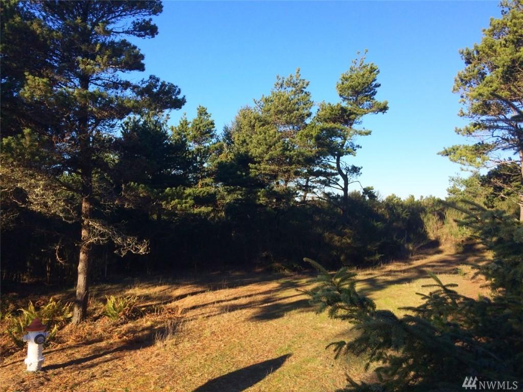 21 Sea Mist Lane - Photo 1