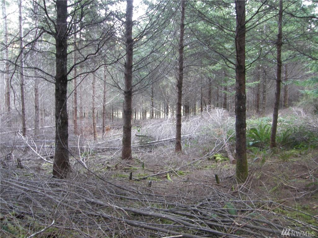 115 Powers Creek Rd - Photo 1