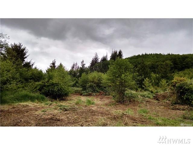 0-XX Aberdeen Lake Rd - Photo 1