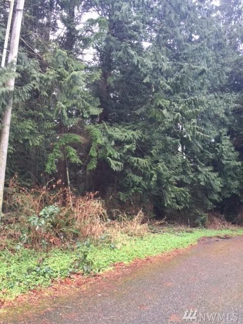 8920 92nd Ave - Photo 1