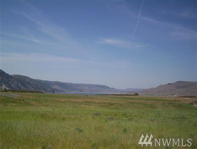 44205 Tyax Lane - Photo 1