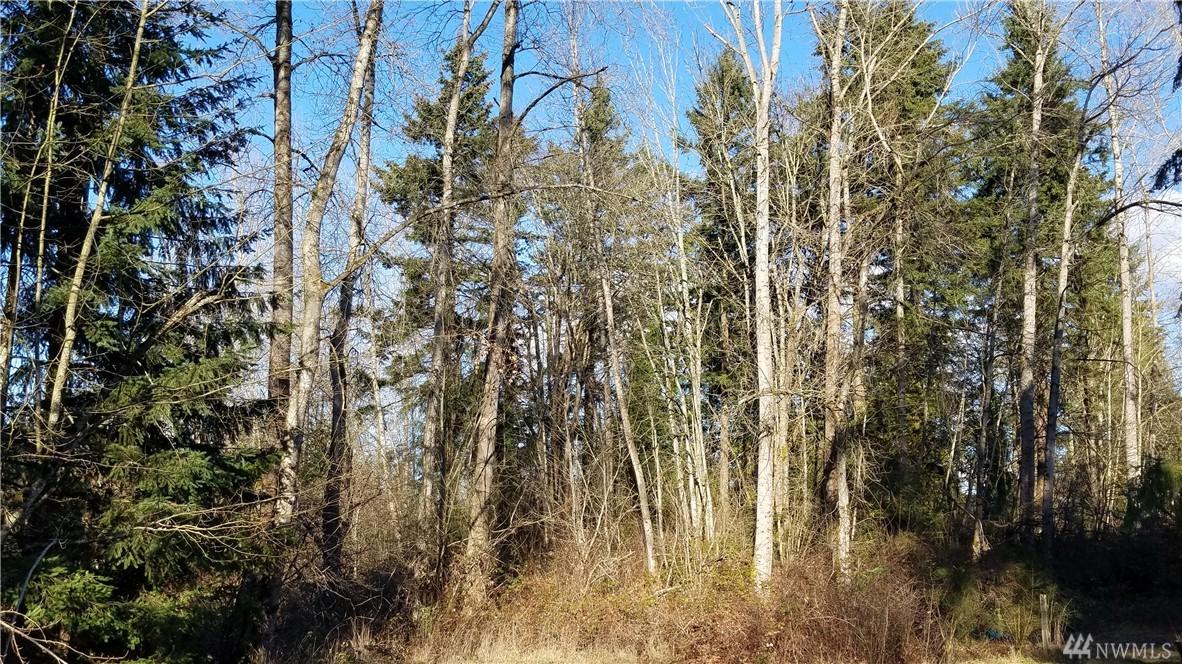 210-xx 116th Ave - Photo 1