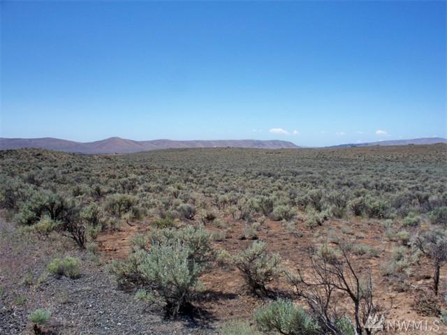 0 Texas Loop - Photo 1