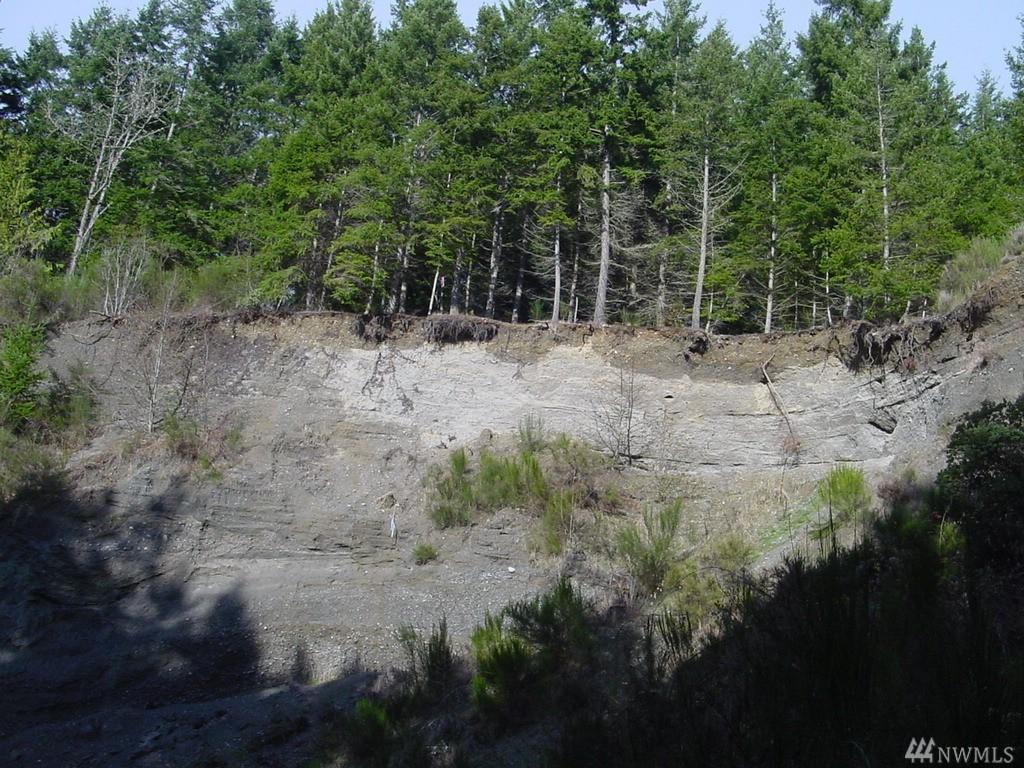 281500-XXXX Hwy 101 Hwy - Photo 1