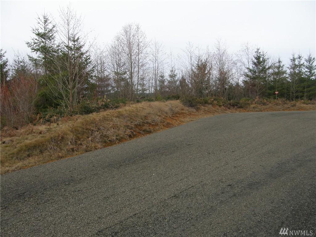 5 Maplevine Lane - Photo 1