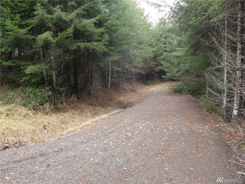 240 Arrowhead Lane - Photo 1
