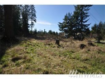16203 Village Dr - Photo 1