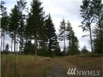 40312 14th Ave - Photo 1