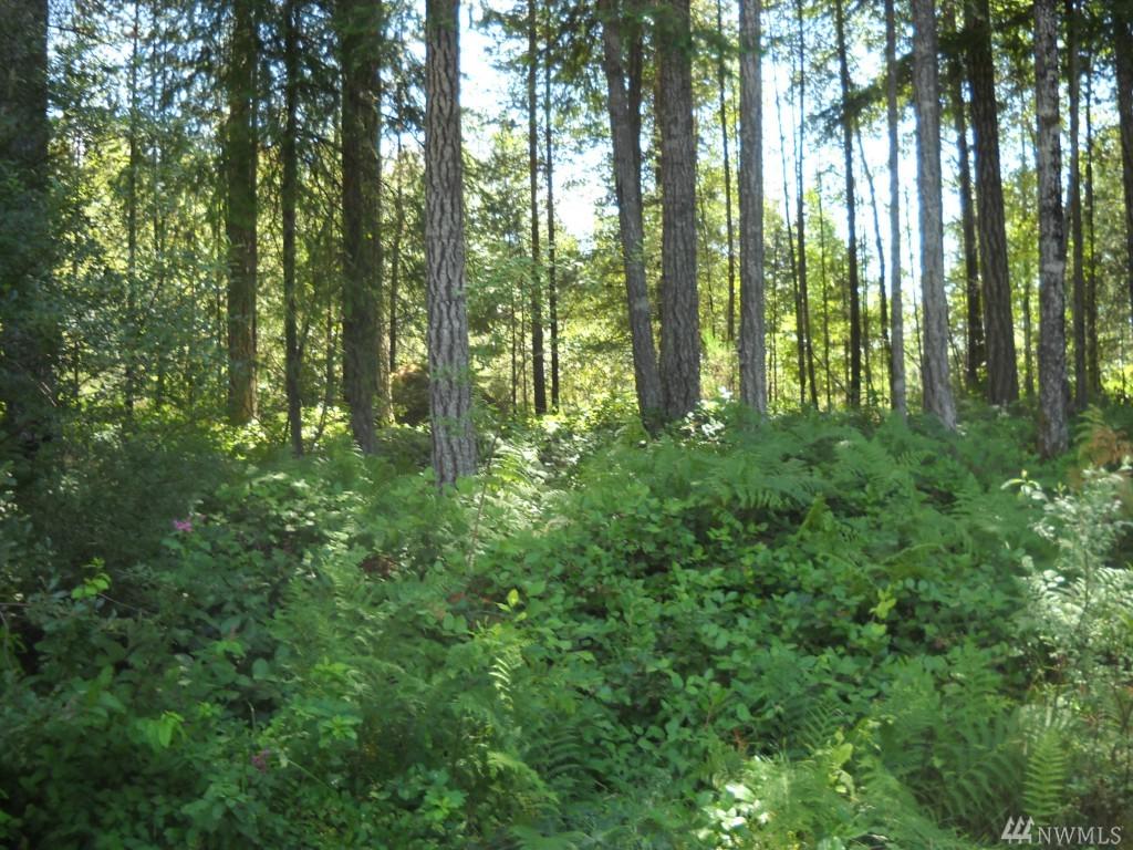 23 Rainbow Wy - Photo 1