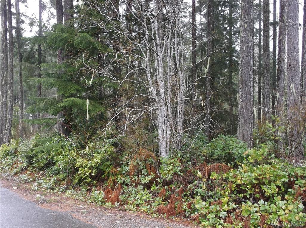 31 Beaver Place - Photo 1