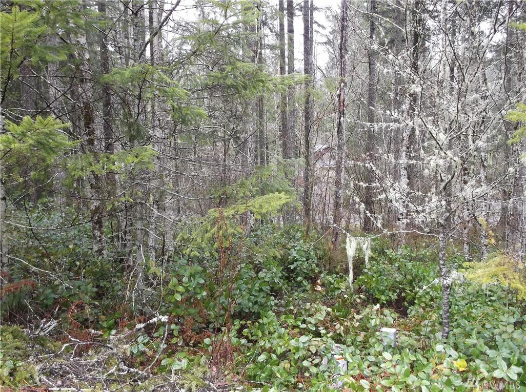 21 Beaver Place - Photo 1