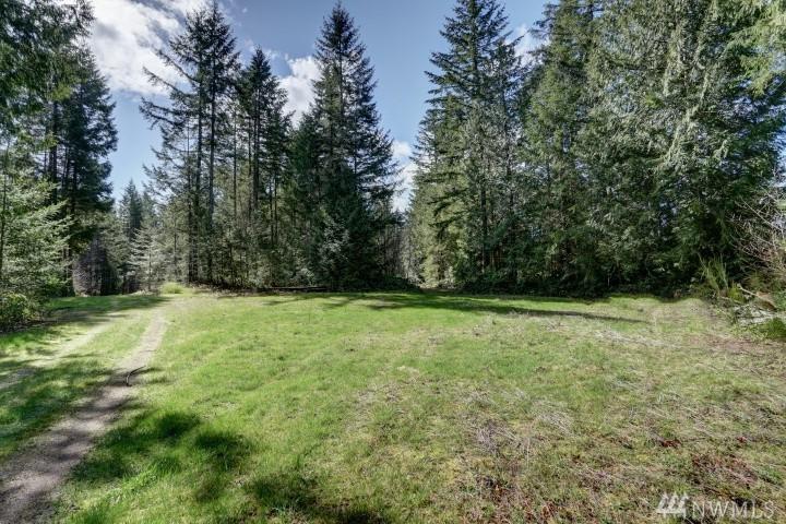 12529 Crescent Valley Dr - Photo 1