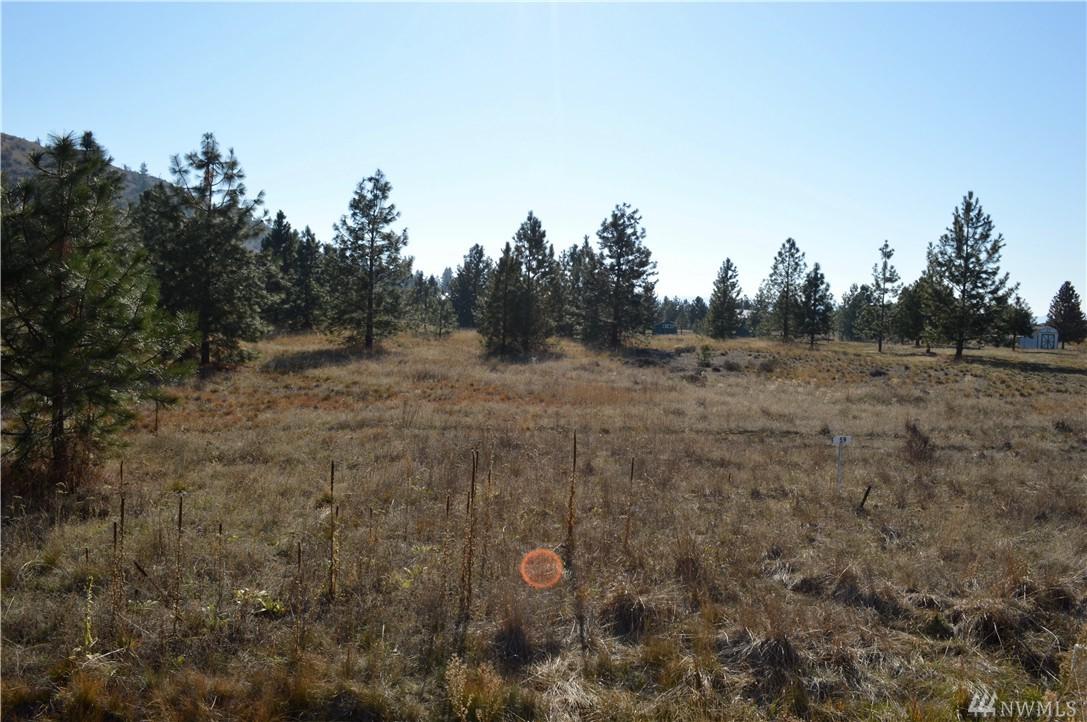 30330 Antler Lane - Photo 1