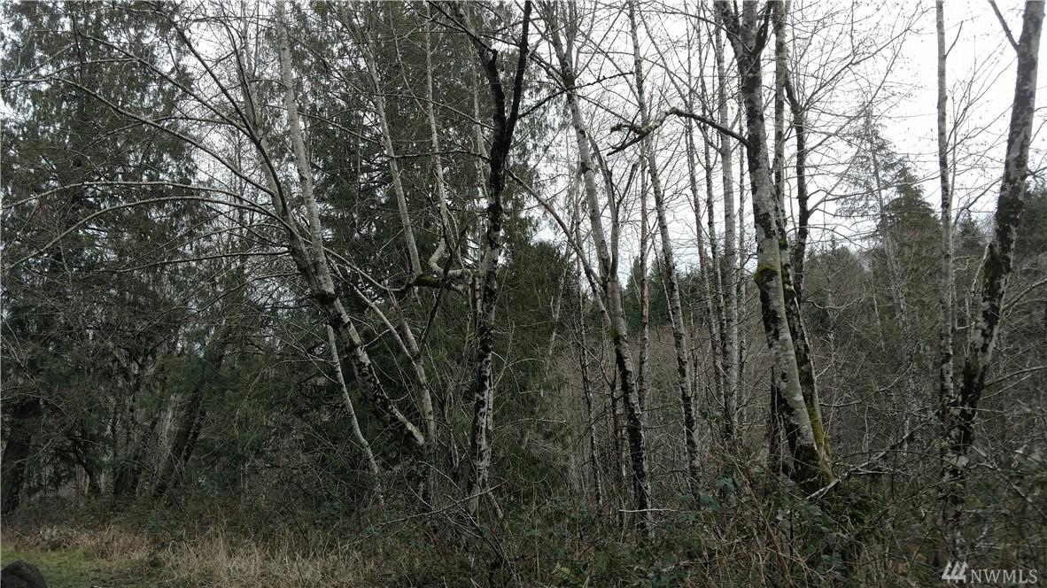 0 Lofty Lane - Photo 1