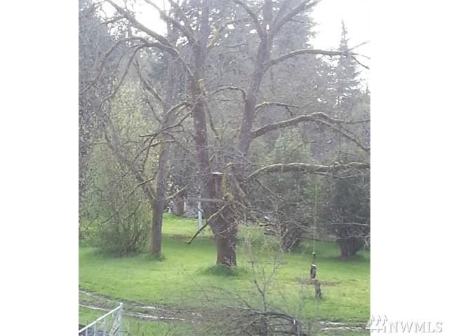 1330 Eckerson Rd - Photo 1
