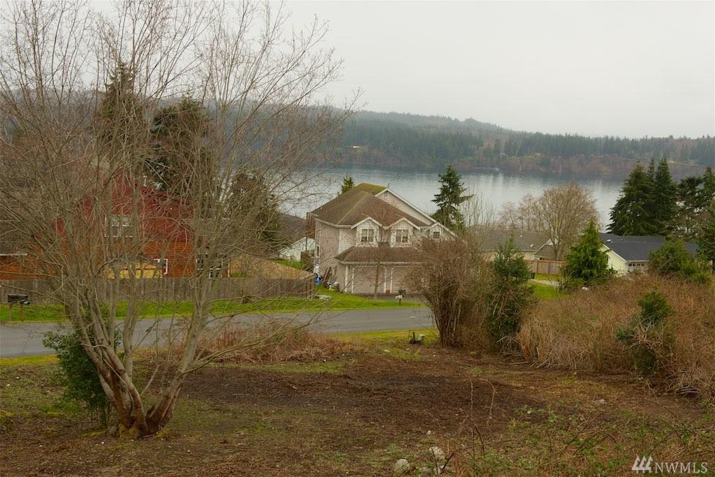 0-XX Haines Drive - Photo 1